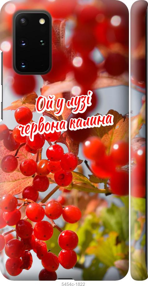 

Чехол на Samsung Galaxy S20 Plus Калина