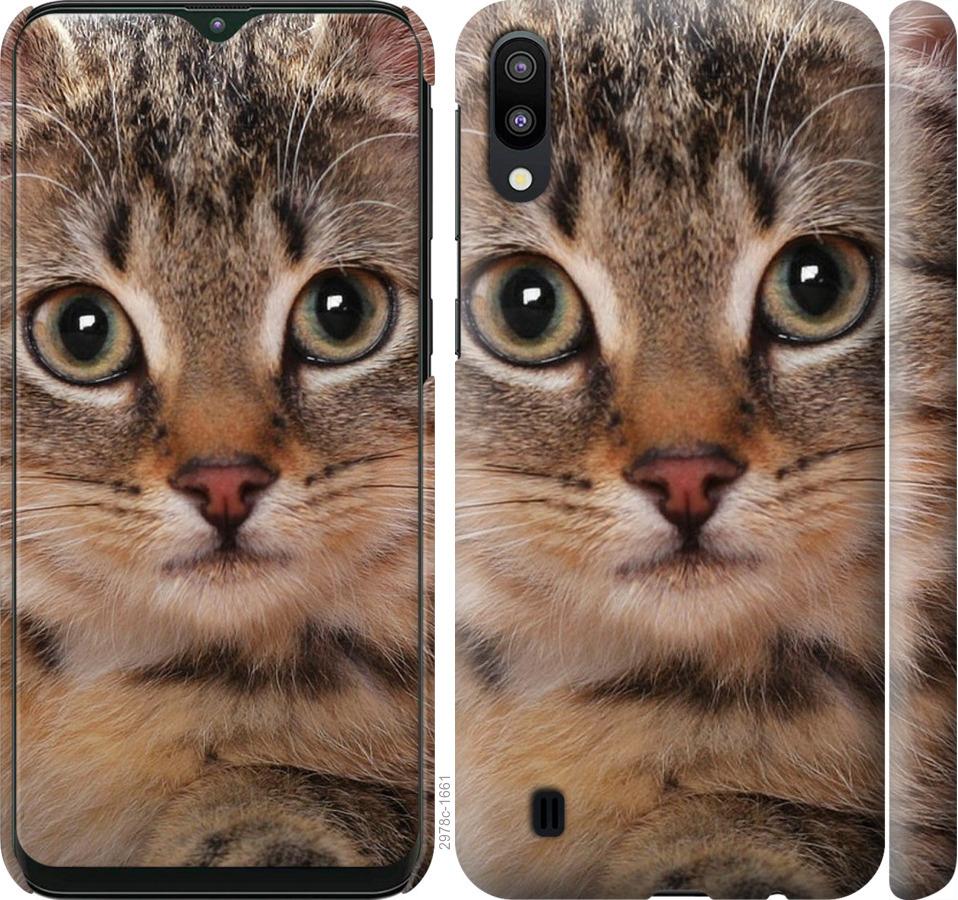 

Чехол на Samsung Galaxy M10 Полосатый котик
