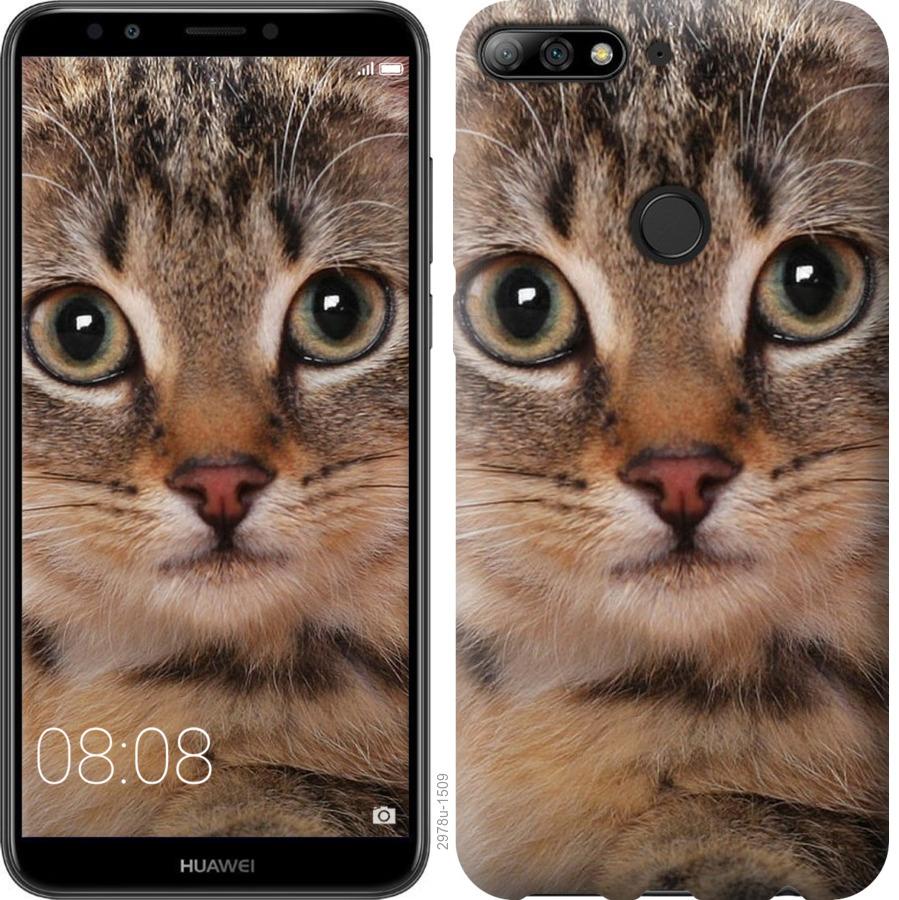 

Чехол на Huawei Y7 Prime 2018 Полосатый котик