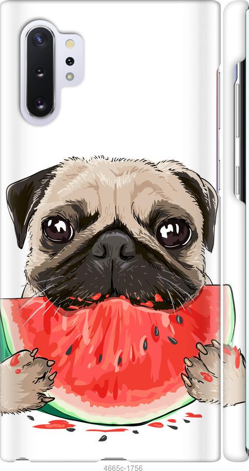 

Чехол на Samsung Galaxy Note 10 Plus Мопс и арбуз