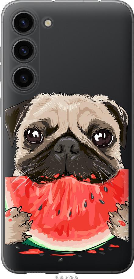 

Чехол на Samsung Galaxy S23 Plus Мопс и арбуз