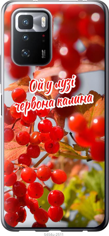 

Чехол на Xiaomi Poco X3 GT Калина