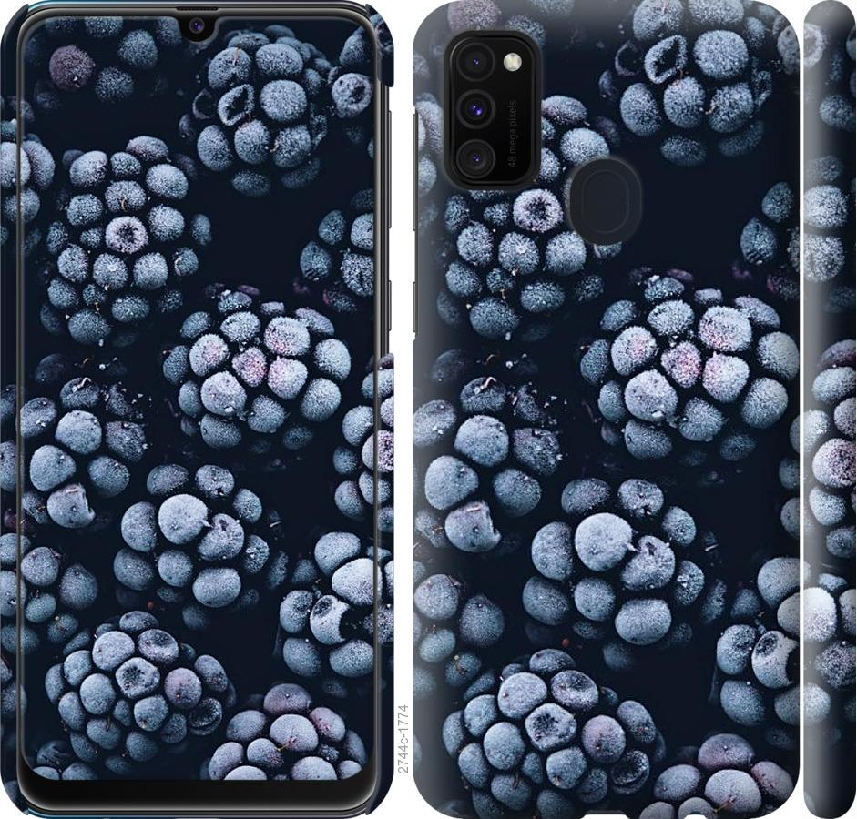 

Чохол на Samsung Galaxy M30s 2019 морозна ожина