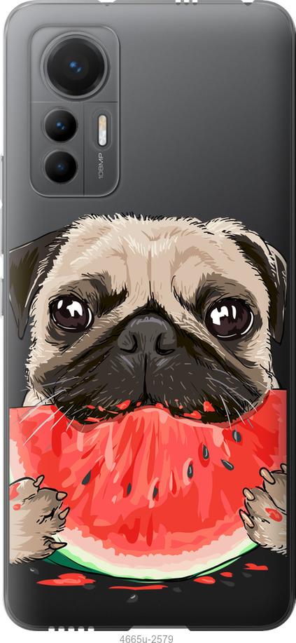 

Чехол на Xiaomi 12 Lite Мопс и арбуз