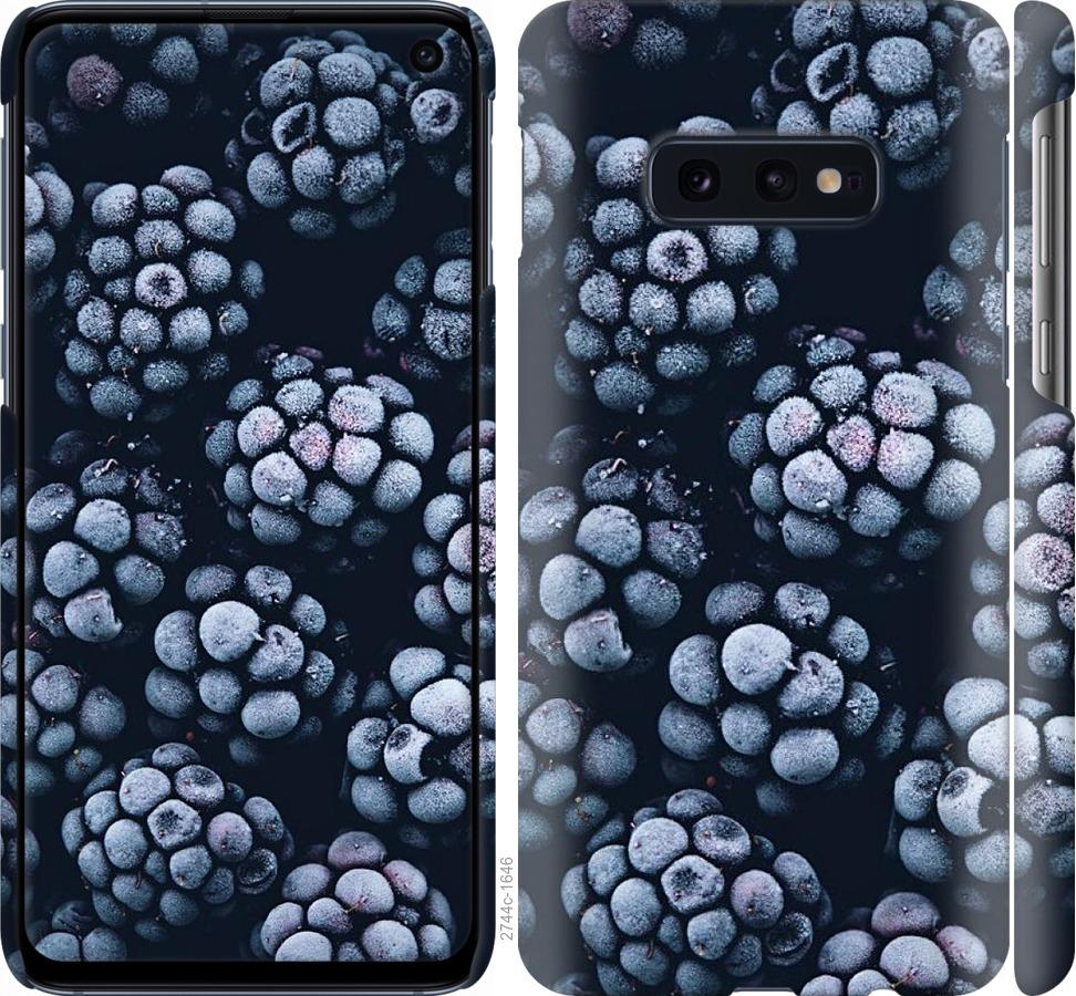 

Чохол на Samsung Galaxy S10e морозна ожина