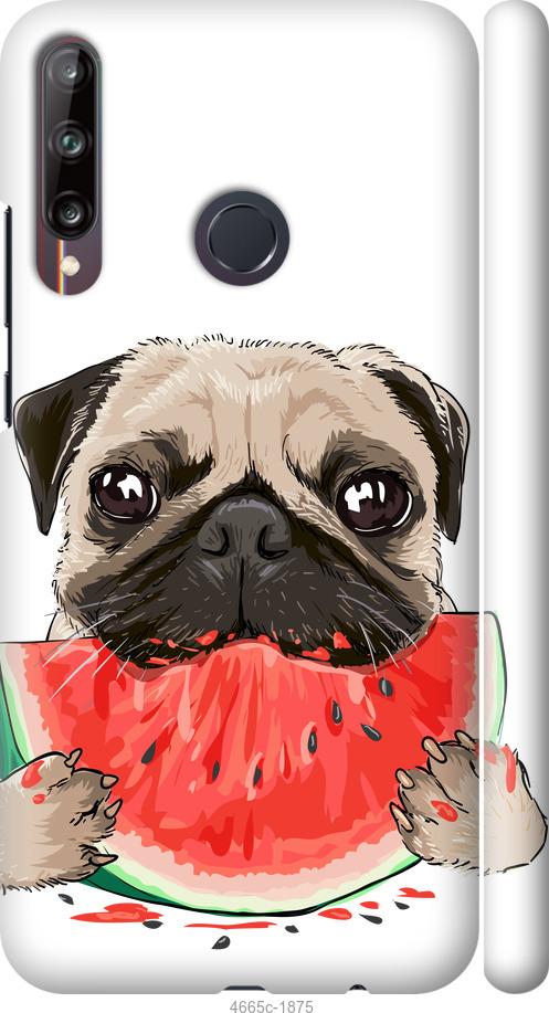 

Чехол на Huawei P40 Lite E Мопс и арбуз