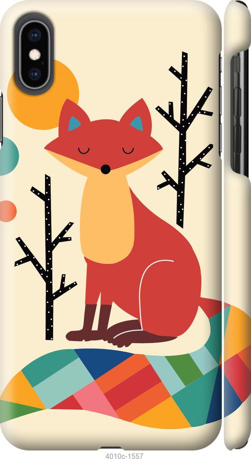 

Чехол на iPhone XS Max Rainbow fox