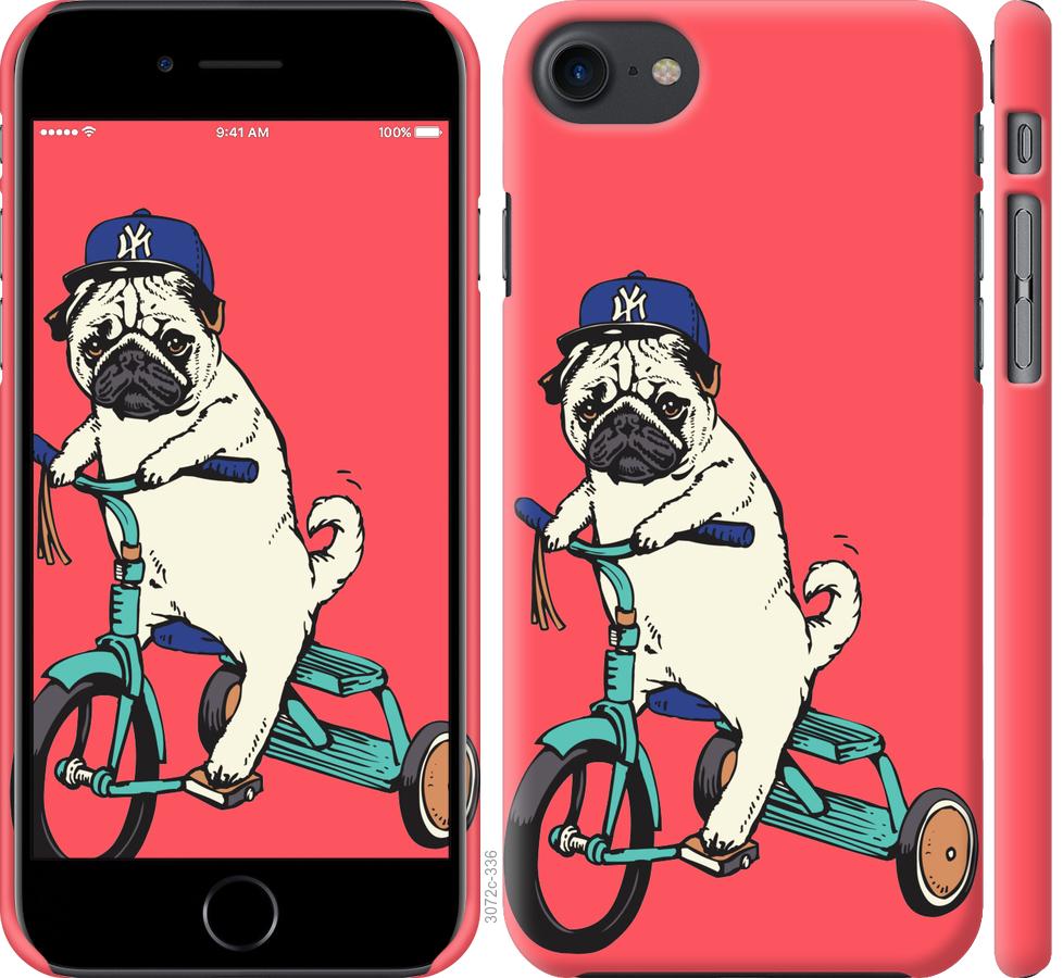 

Чехол на iPhone 7 Мопс на велосипеде