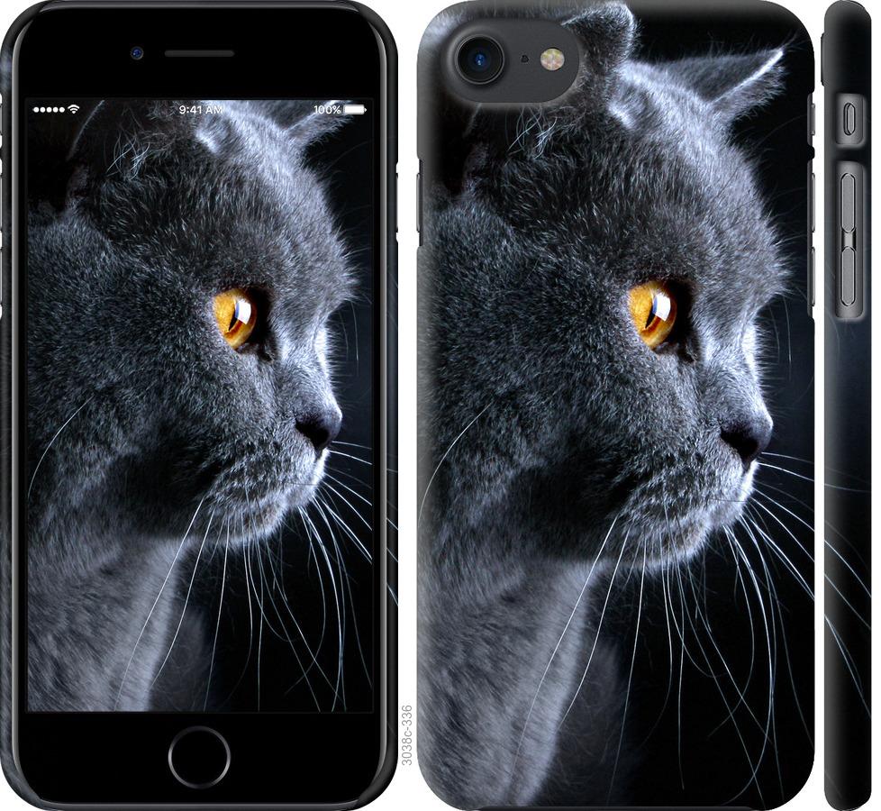 

Чохол на iPhone SE 2020 Гарний кіт