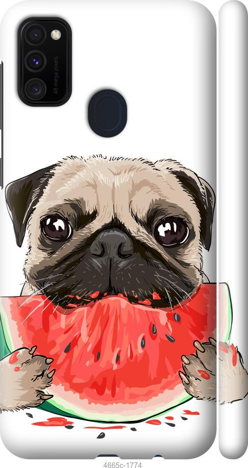 

Чехол на Samsung Galaxy M21 M215F Мопс и арбуз