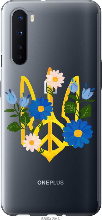 

Чехол на OnePlus Nord Герб v3