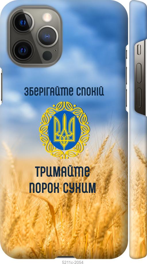 Чехол на iPhone 12 Pro Max Спокойствие v2