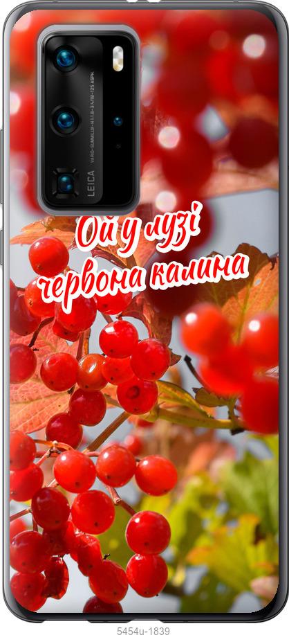 

Чехол на Huawei P40 Pro Калина