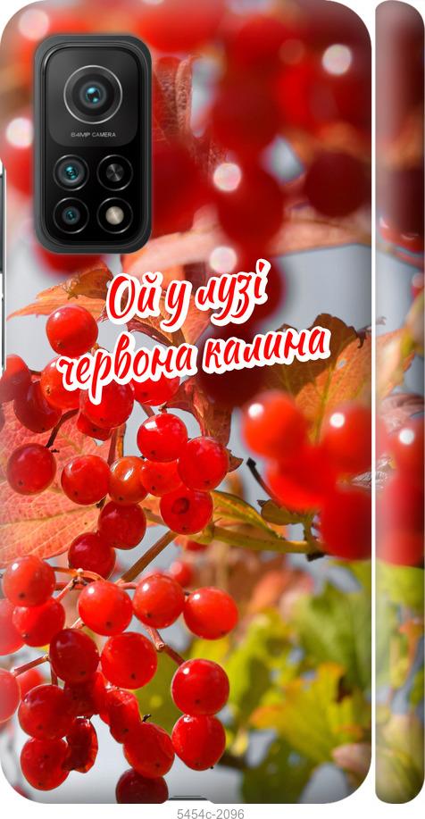 

Чехол на Xiaomi Mi 10T Калина