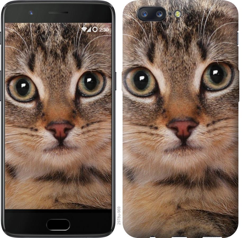 

Чехол на OnePlus 5 Полосатый котик