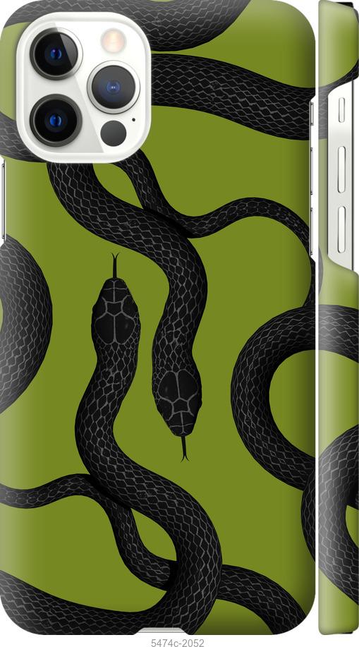 

Чехол на iPhone 12 Змеи v2