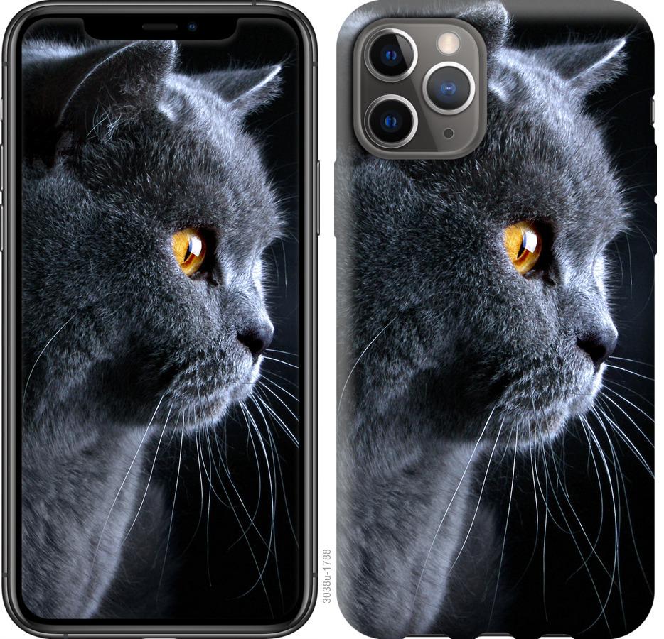 

Чохол на iPhone 11 Pro Гарний кіт