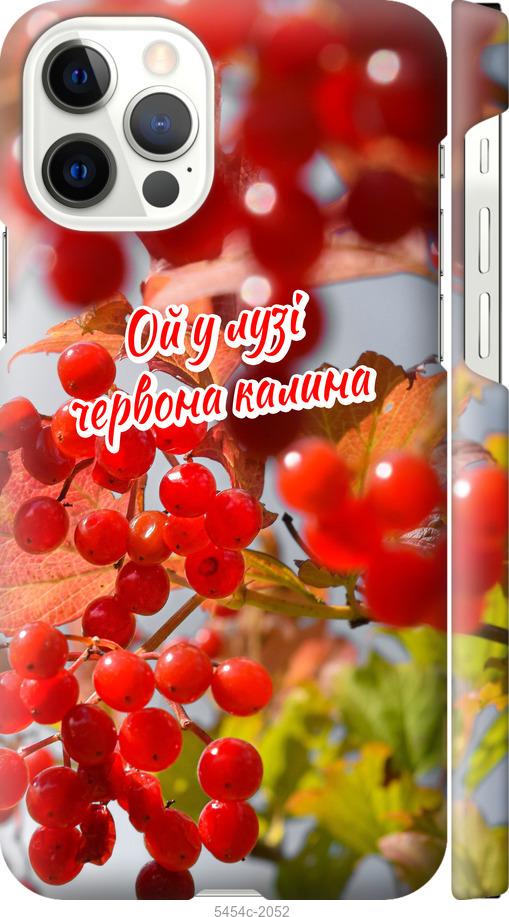 

Чехол на iPhone 12 Калина