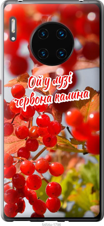 

Чехол на Huawei Mate 30 Pro Калина