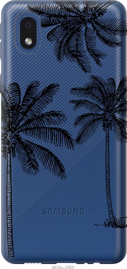 

Чохол на Samsung Galaxy A01 Core A013F Пальми1