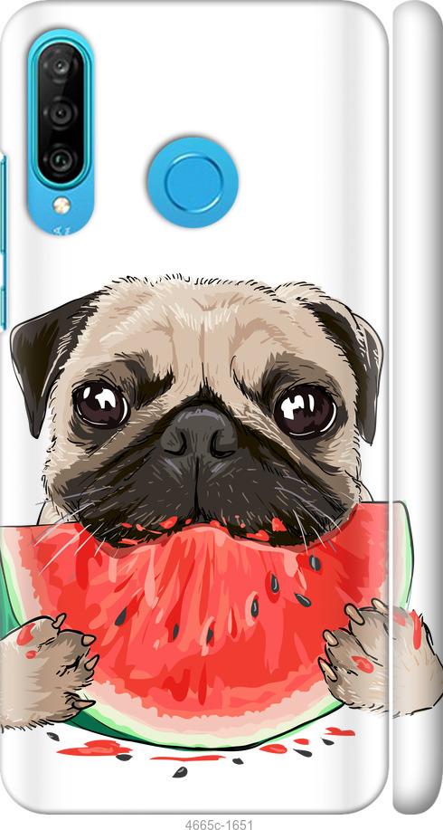 

Чехол на Huawei P30 Lite Мопс и арбуз