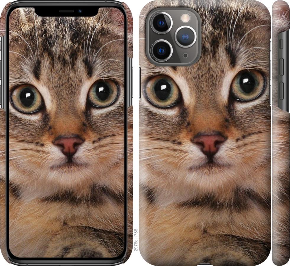 

Чехол на iPhone 11 Pro Полосатый котик