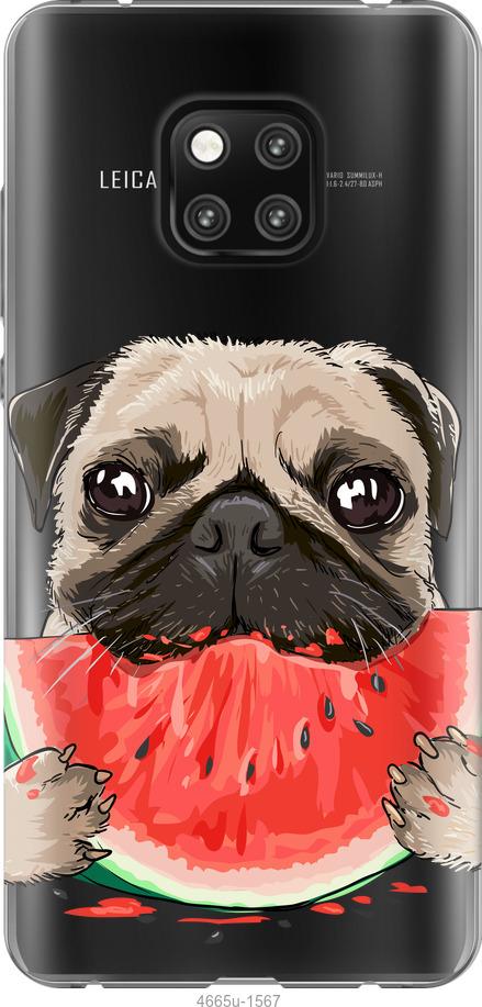 

Чехол на Huawei Mate 20 Pro Мопс и арбуз