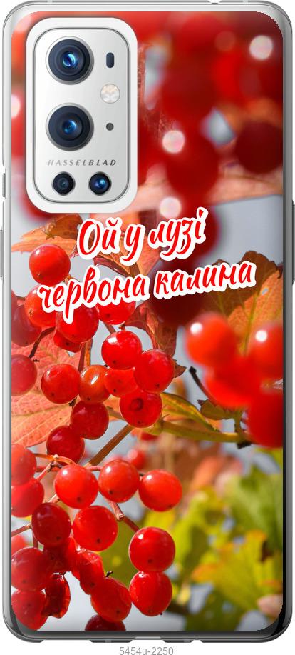 

Чехол на OnePlus 9 Pro Калина