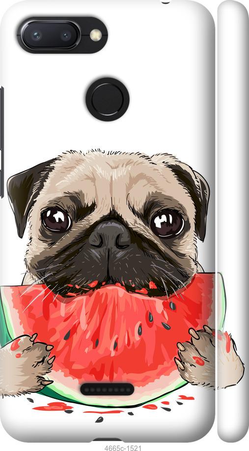 

Чехол на Xiaomi Redmi 6 Мопс и арбуз