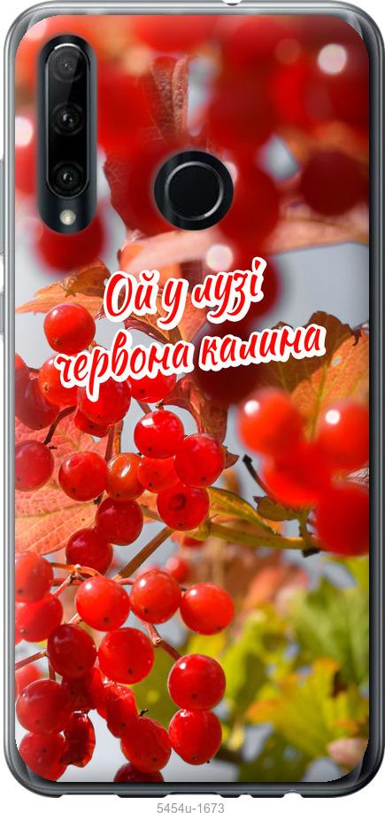 

Чехол на Huawei Honor 20 Lite Калина