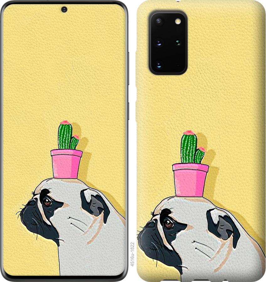 

Чохол на Huawei Honor 30S Мопс з кактусом