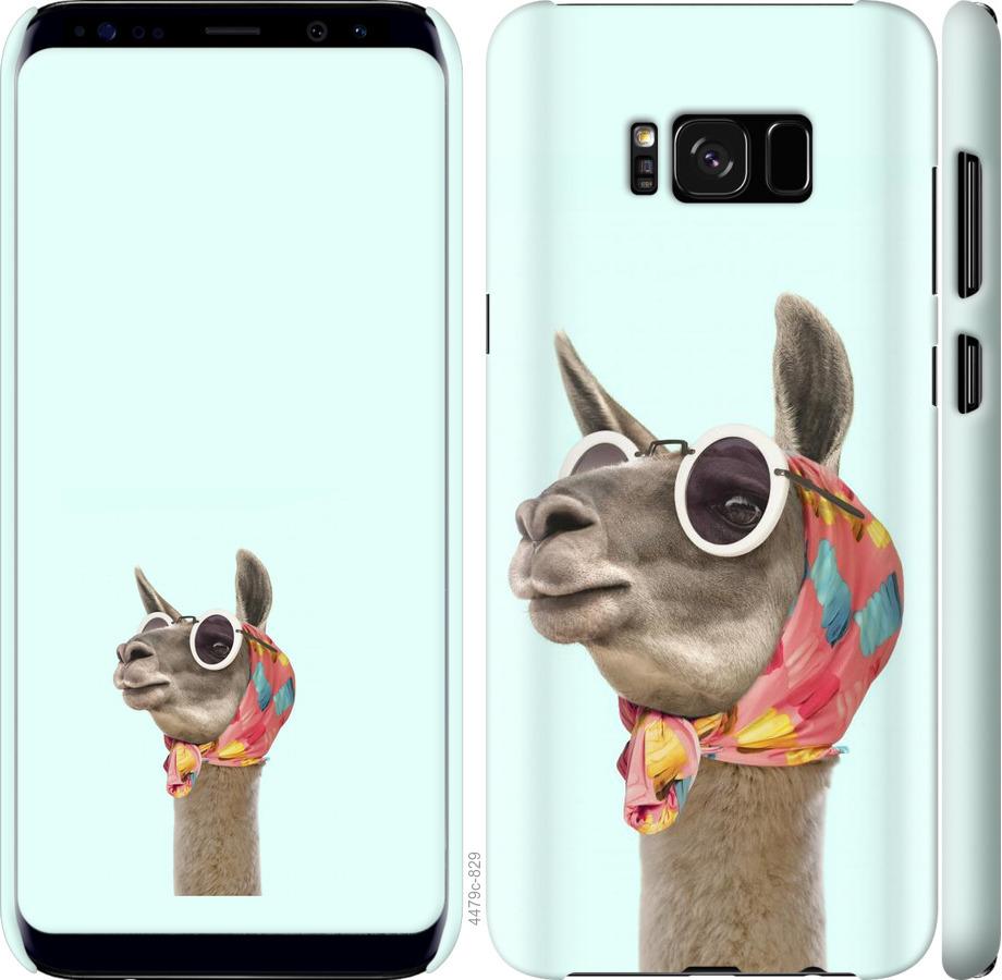 Чехол на Samsung Galaxy S8 Модная лама