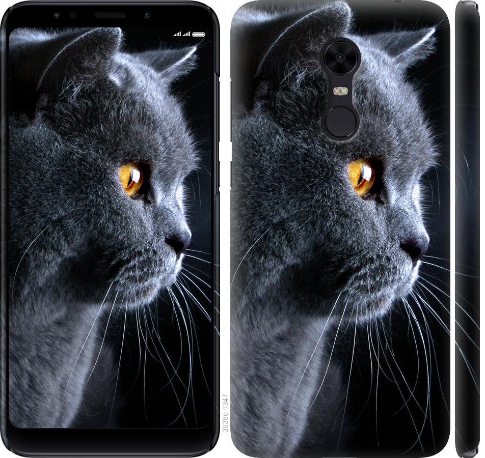 

Чохол на Xiaomi Redmi 5 Plus Гарний кіт