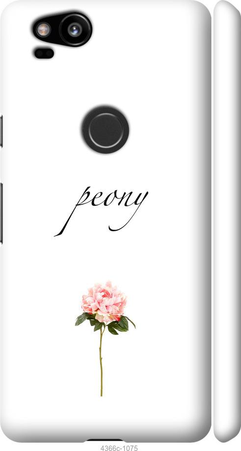 

Чехол на Google Pixel 2 Пион
