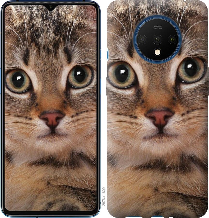 

Чехол на OnePlus 7T Полосатый котик