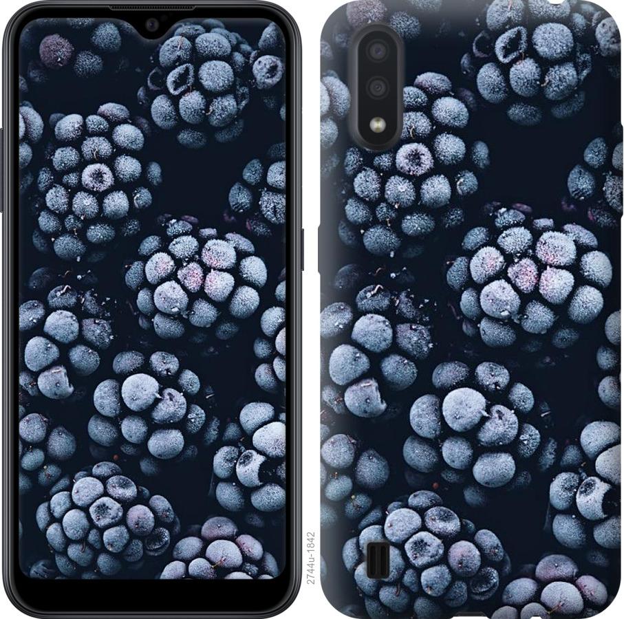 

Чохол на Samsung Galaxy A01 A015F морозна ожина