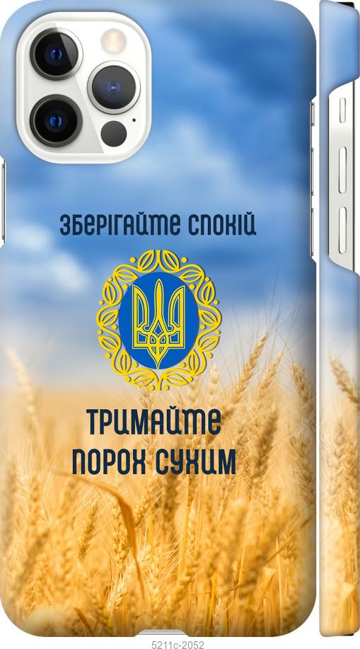 Чехол на iPhone 12 Pro Спокойствие v2