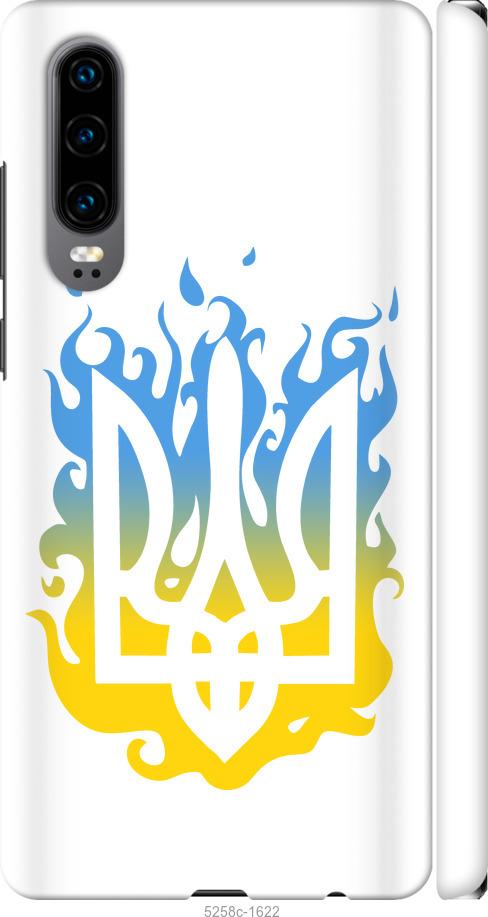 

Чехол на Huawei P30 Герб v1
