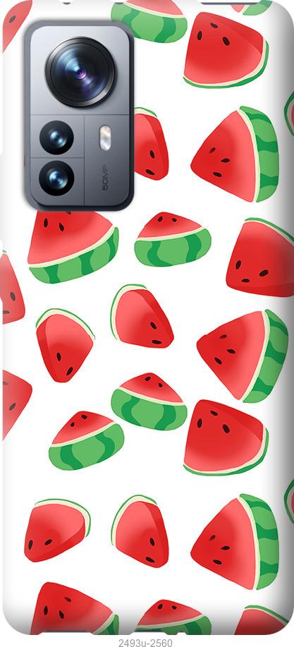 

Чохол на Xiaomi 12 Pro Кавун