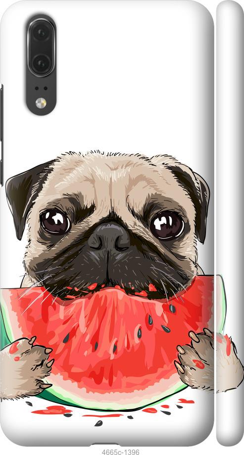 

Чехол на Huawei P20 Мопс и арбуз