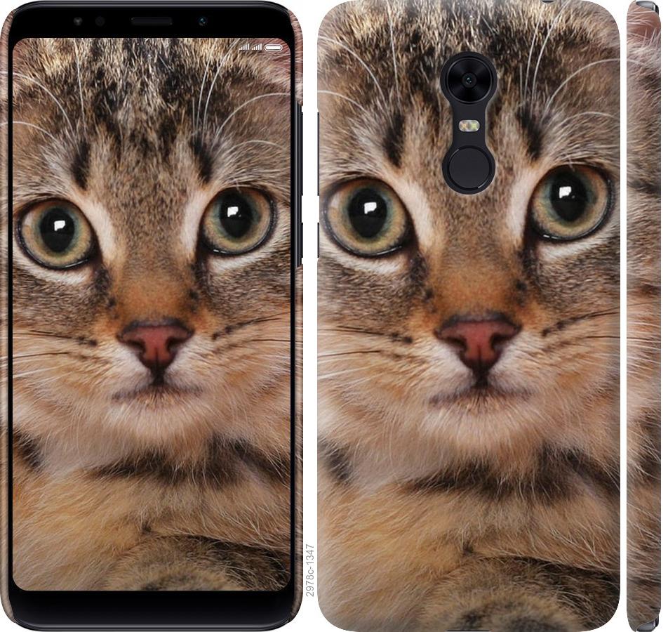 

Чехол на Xiaomi Redmi 5 Plus Полосатый котик