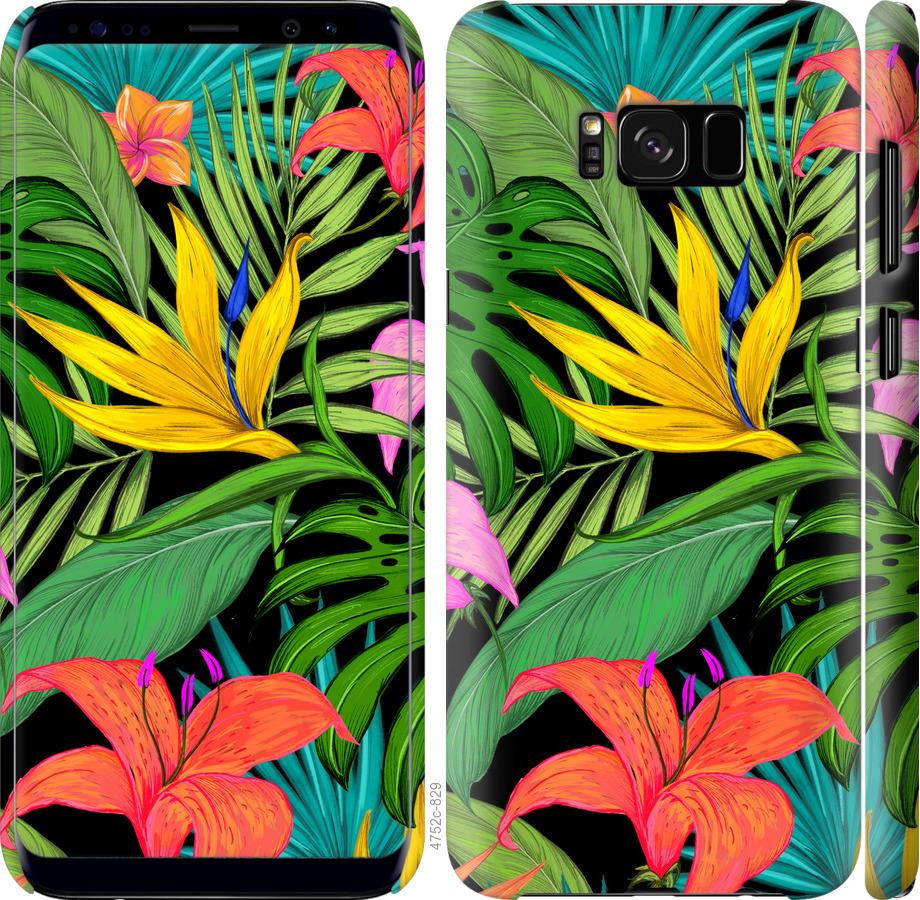 Чехол на Samsung Galaxy S8 Тропические листья 1