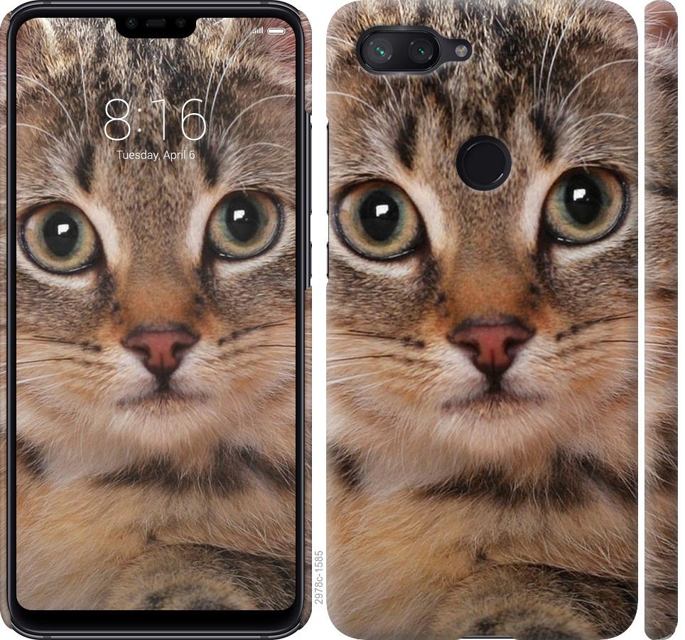 

Чехол на Xiaomi Mi 8 Lite Полосатый котик
