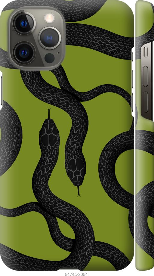 

Чехол на iPhone 12 Pro Max Змеи v2