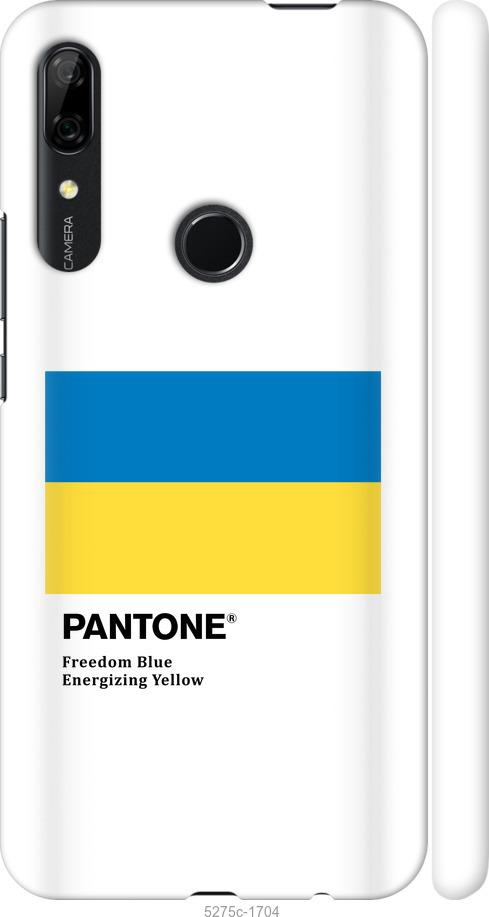 

Чохол на Huawei P Smart Z Прапор Пантон