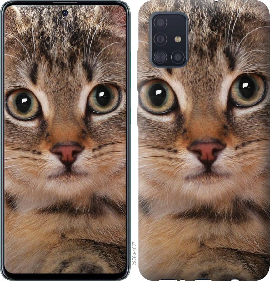 

Чехол на Samsung Galaxy S20 Полосатый котик