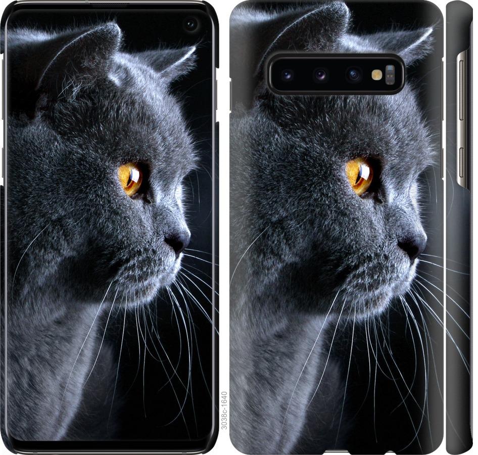 

Чохол на Samsung Galaxy S10 Гарний кіт