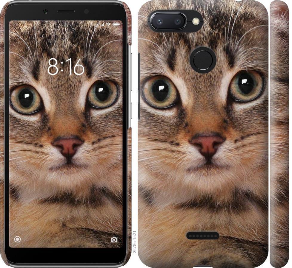 

Чехол на Xiaomi Redmi 6 Полосатый котик