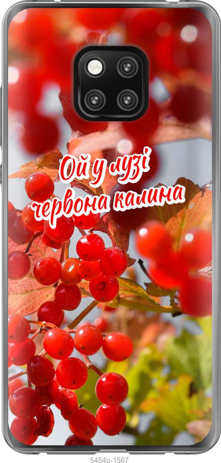 

Чехол на Huawei Mate 20 Pro Калина