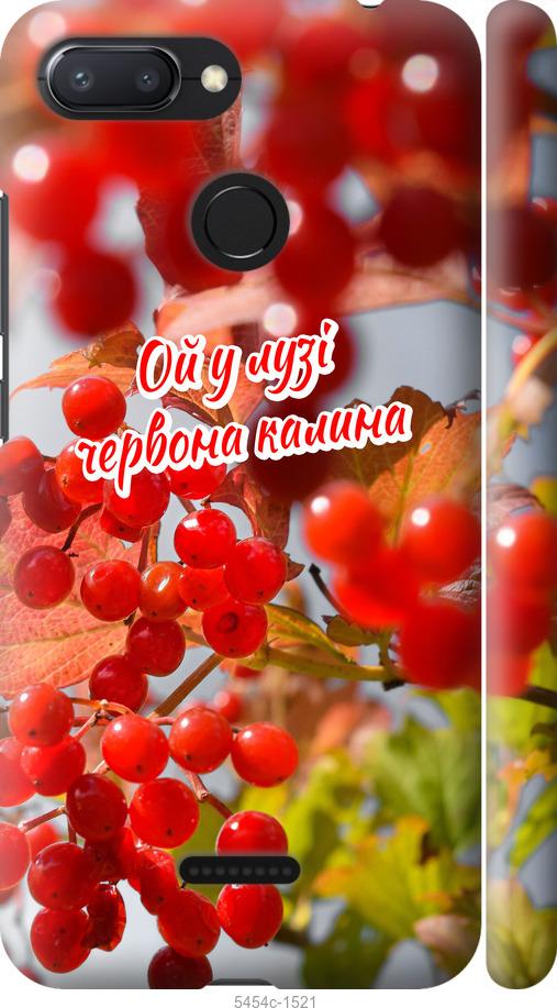 

Чехол на Xiaomi Redmi 6 Калина